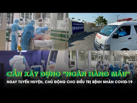 Video Thứ trưởng Bộ Y tế Cần xây dựng ngân hàng máu ngay... - youtube