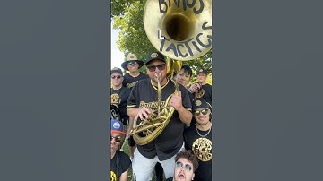 XS VS XL Brass Instruments(ish) #aylex #brass #brassband #trumpet #trombone #saxophone #sousaphone