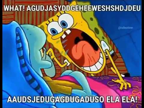 What! Spongebob yelling meme - YouTube