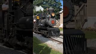 Steam trains galore!