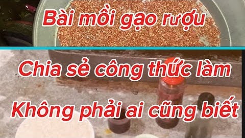 Bài mồi gạo rượu, chia sẻ công thức làm mồi gạo rượu, câu cá chép, giếc …