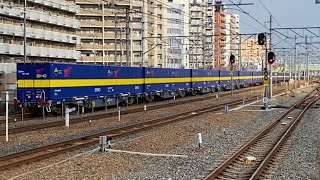 2022(R4)/1/12 高速コンテナ貨物列車と特急、201系
