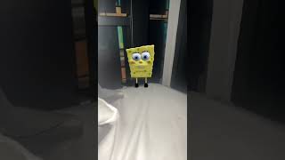 I’m deleting this in 24 hours #first #deleting #spongebob #spongebobsquarepants #torta #funny #memes
