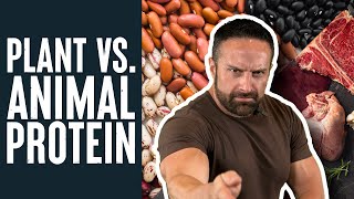 Animal Protein Beats Plant Protein For Building Muscle Educational Video Layne Norton Phd