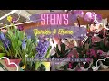 Steins garden  home storelive plants  art  decor garden