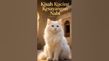 Muezza: Kisah Kucing Kesayangan Nabi Muhammad ﷺ yang Penuh Kasih Sayang #shorts #kisahislami