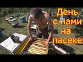 Целый день с нами на пасеке  24 06 2020. НАЧАЛО ВЗЯТКА