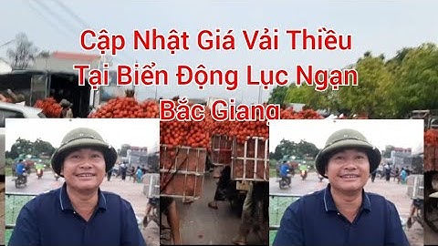 Giá Vải Thiều Lục Ngạn 24/6/2023 vietnamese lychee