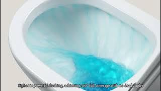 60205 Single piece toilet