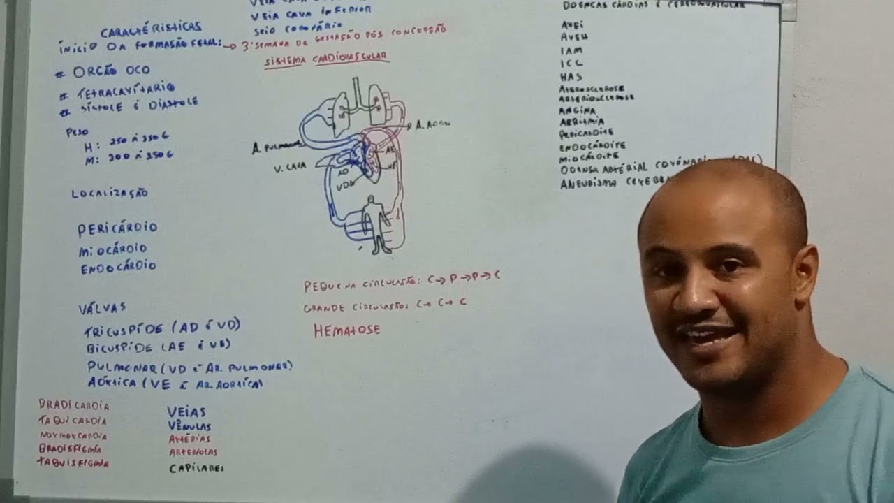 Sistema cardiovascular 