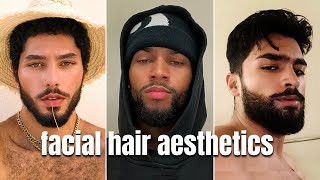 learn facial hair aesthetics to improve your looks