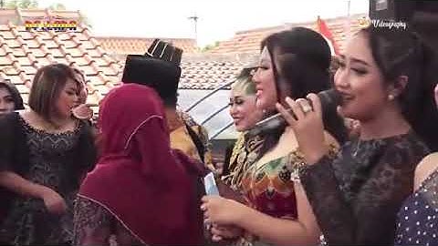 All Artis New Pallapa # Pengantin Baru #