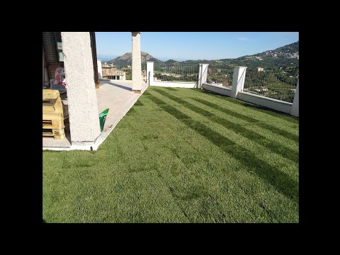 Video: Il Giardino Che Si Sviluppa Sul Tetto