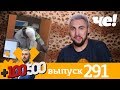 +100500 | Выпуск 291 | Новый сезон на телеканале Че!