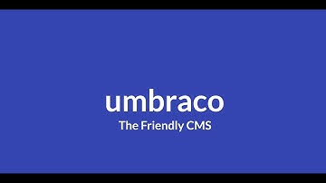 Berenschot Digital Case Study Webinar