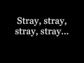 Stray - Steve Conte Lyrics