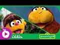 افتح يا سمسم - الحلقة الخامسة : مهرجان التمور