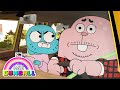 The Amazing World of Gumball | Birth of Anais | Cartoon Network