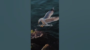 سورة يونس 19 | عبدالرحمن مسعد [قراءة 2023]