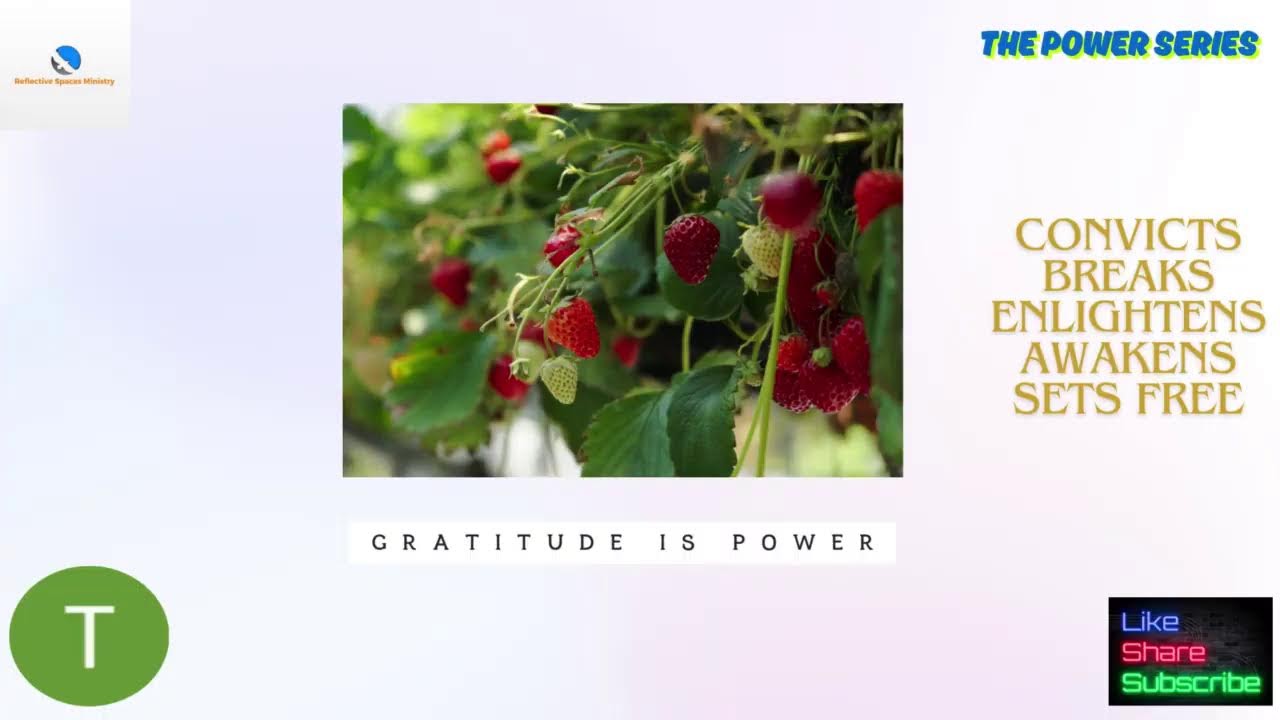 The Power Series: Gratitude is Power