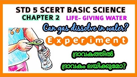 STD 5 BASIC SCIENCE / Can gas dissolve in water?/ KITE VICTERS STD 5 Basic Science class 9 help