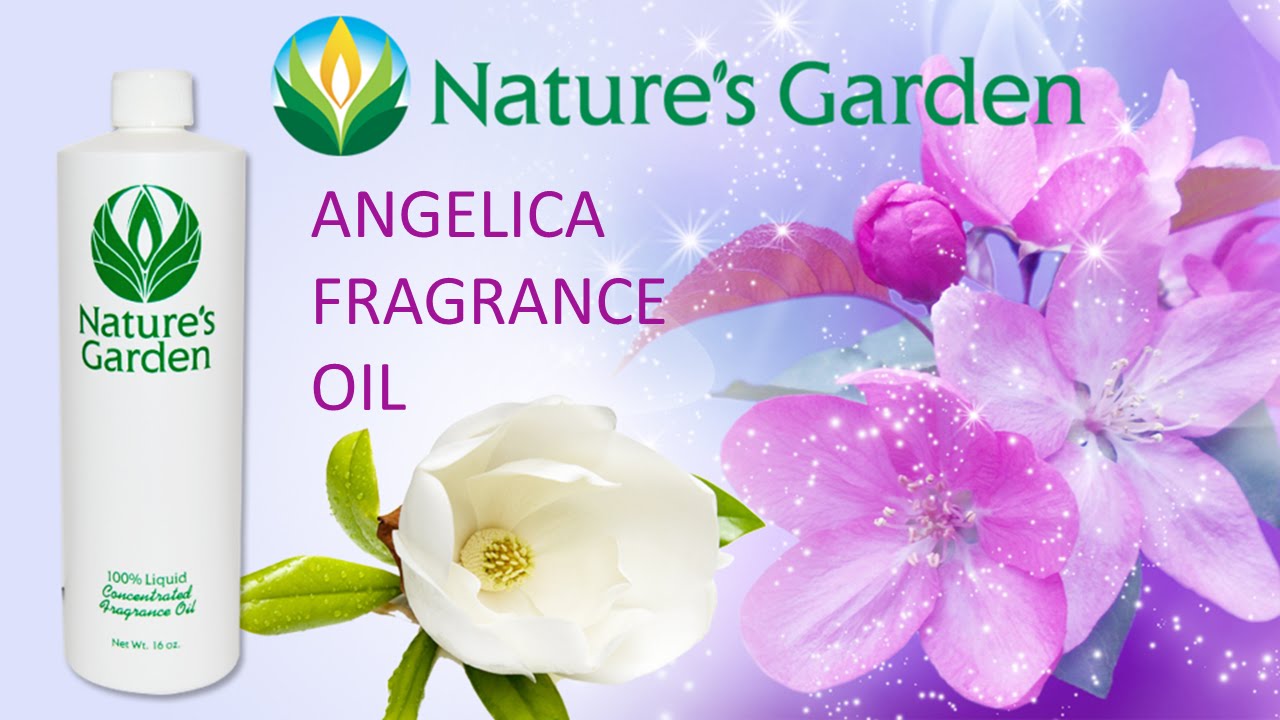 Angelica Fragrance Oil Natures Garden YouTube