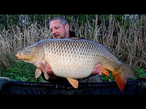 Pêche de la carpe et technique des gros appâts par carpecanal