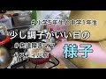 【激ぽちゃズボラママ】少し調子のいい日の様子を撮ってみた