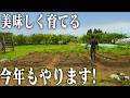 【田舎暮らし】夏野菜作りスタート!去年の失敗を活かして…