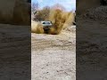 Jeep grand cherokee V8 Power!