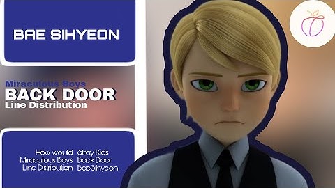 {Request} How would MIRACULOUS sing BACK DOOR by STRAY KIDS |LINE DISTRIBUTION |BAE SIHYEON