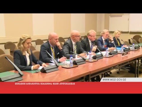 თინათინ ხიდაშელის შეხვედრა შვედ კოლეგასთან