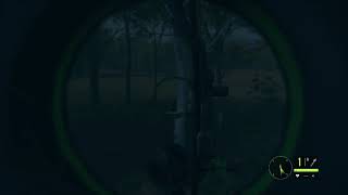 One Shoot À Larc (The Hunter Call Of The Wild)