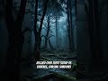 The Village That Vanished Overnight: Unsolved Mystery