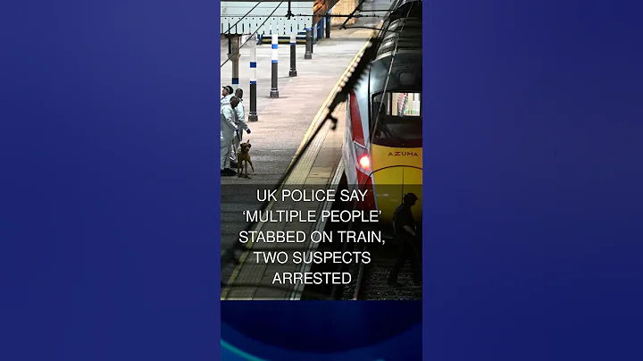 UK police say multiple people stabbed on train two suspects arrested