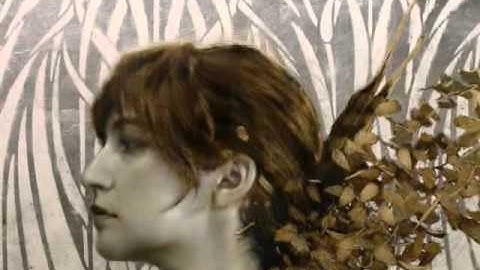 Chet Baker & Paul Bley "If I Should Lose You"