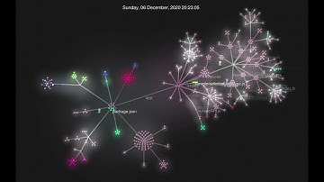 Gource animation