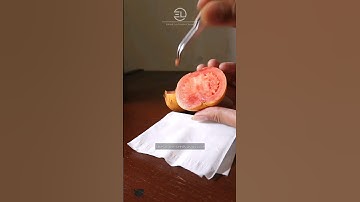 how to grow guava from seed #shorts #howtogrow #guava