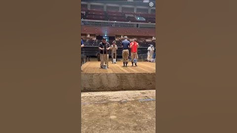 Inside the Dohyō: How Sumo’s Sacred Ring Is Built #sumo #wrestling #behindthescenes #unique #shorts