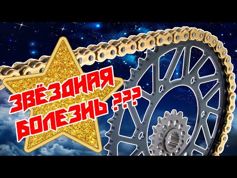 Видео: Подобни знаменитости. Коя знаменитост на кого прилича?