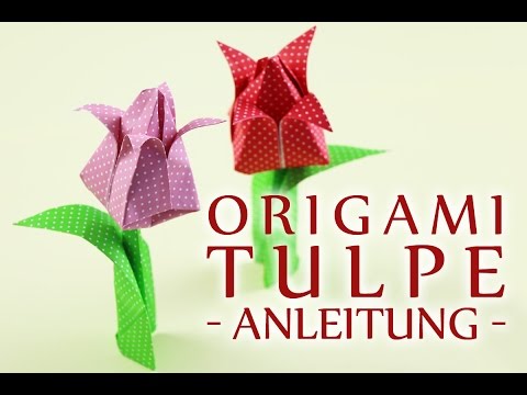 Video: Origami-tulpe: Mooi En Grasieus