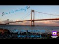 Why the Bronx-Whitestone Bridge was Not in Danger of Collapse