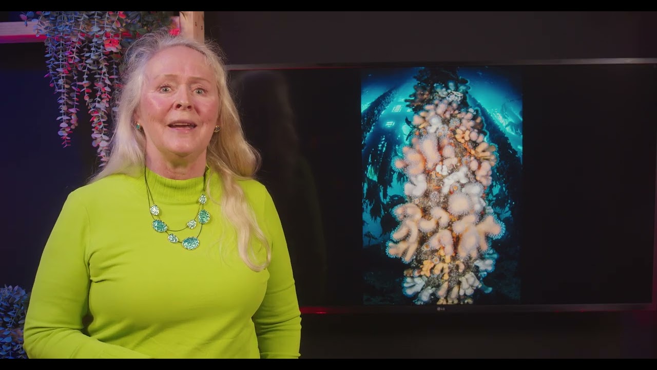 UPY2026 British Waters Living Together Category