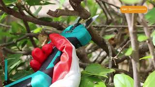 Precision Pruning Made Easy: Introducing The Keeper High-Powered Battery Pruner