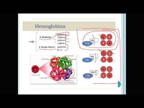 Vídeo: Como você faz o teste de talassemia menor?