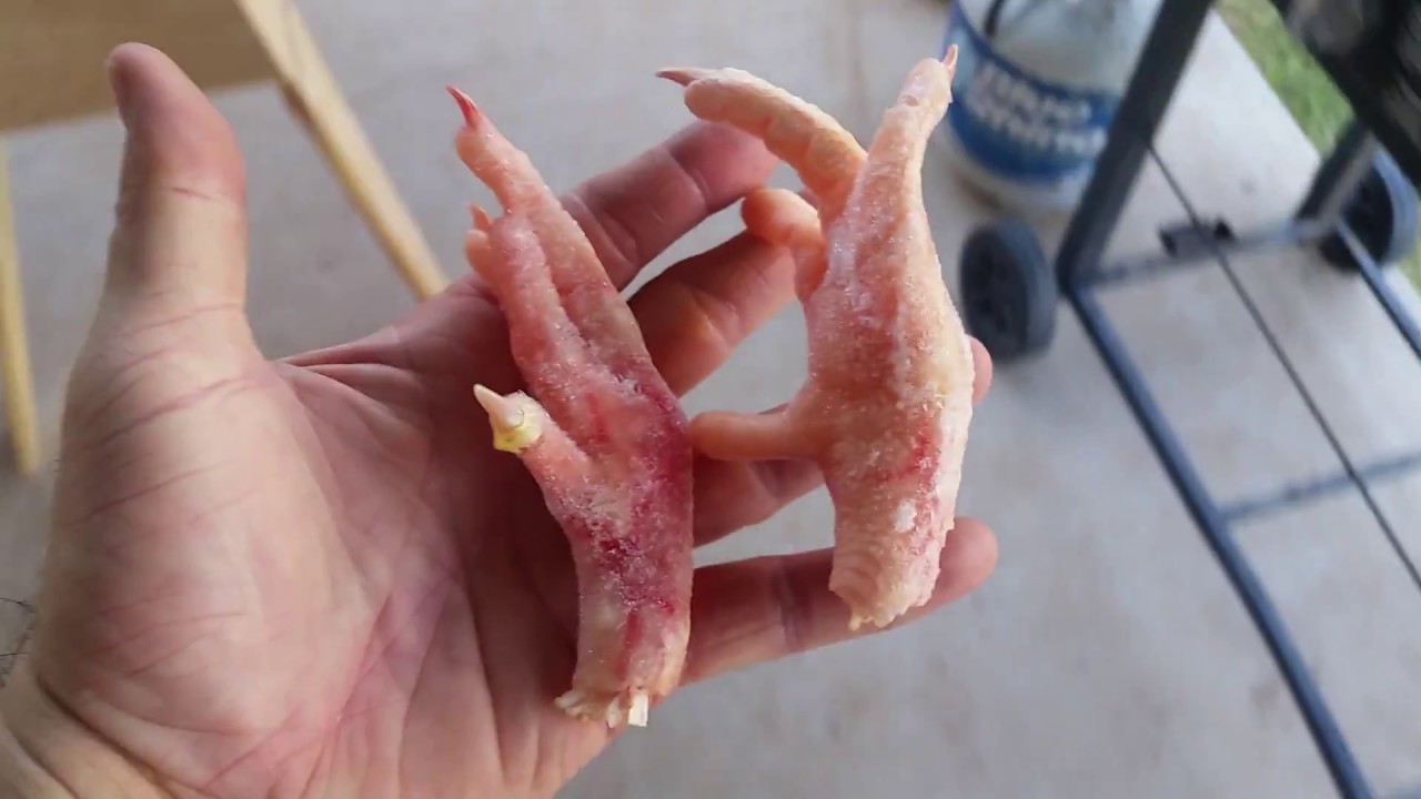 raw chicken feet for dogs