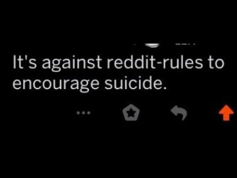 r/murderedbywords | f r e s h | ep. 41 r/murderedbywords | f r e s h | ep. 41