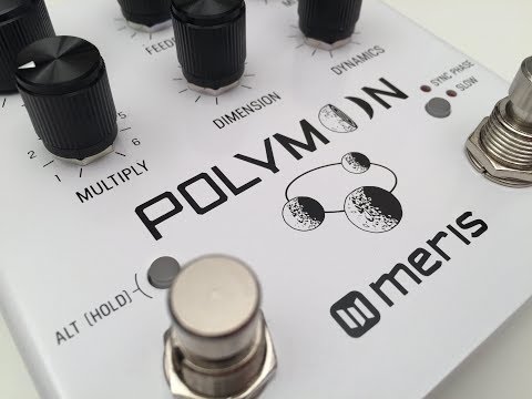 Polymoon - Meris