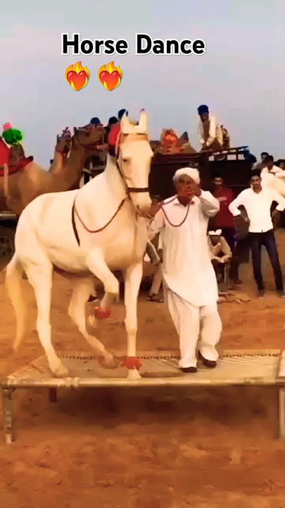 Horse Dance ❤️🔥❤️🔥||Hasbi Rabbi Jallallah #allahrsajid #shorts #horse #relatable #islamicshorts
