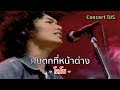 ฝนตกที่หน้าต่าง - โลโซ {Concert TV5}